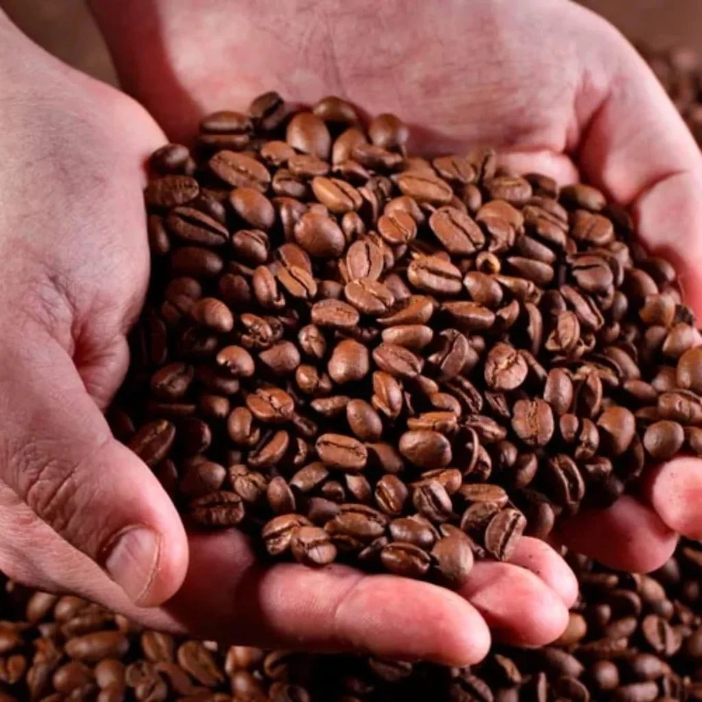 Nescafé_2_Producción-del-café